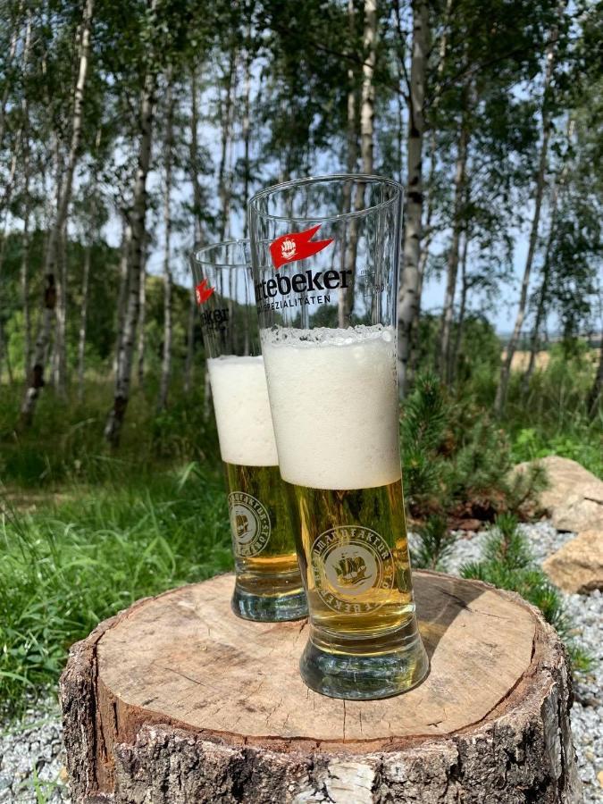 Drewniany Dom W Brzozowisku Chalet Pieszyce
