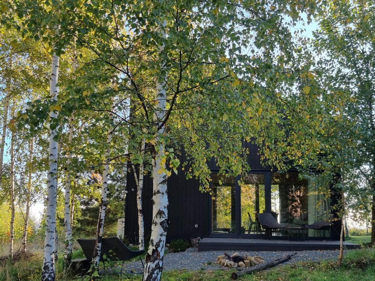 Chalet Drewniany Dom W Brzozowisku