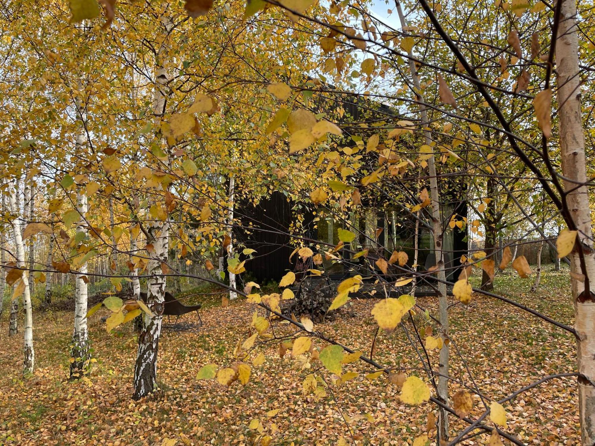 Chalet Drewniany Dom W Brzozowisku